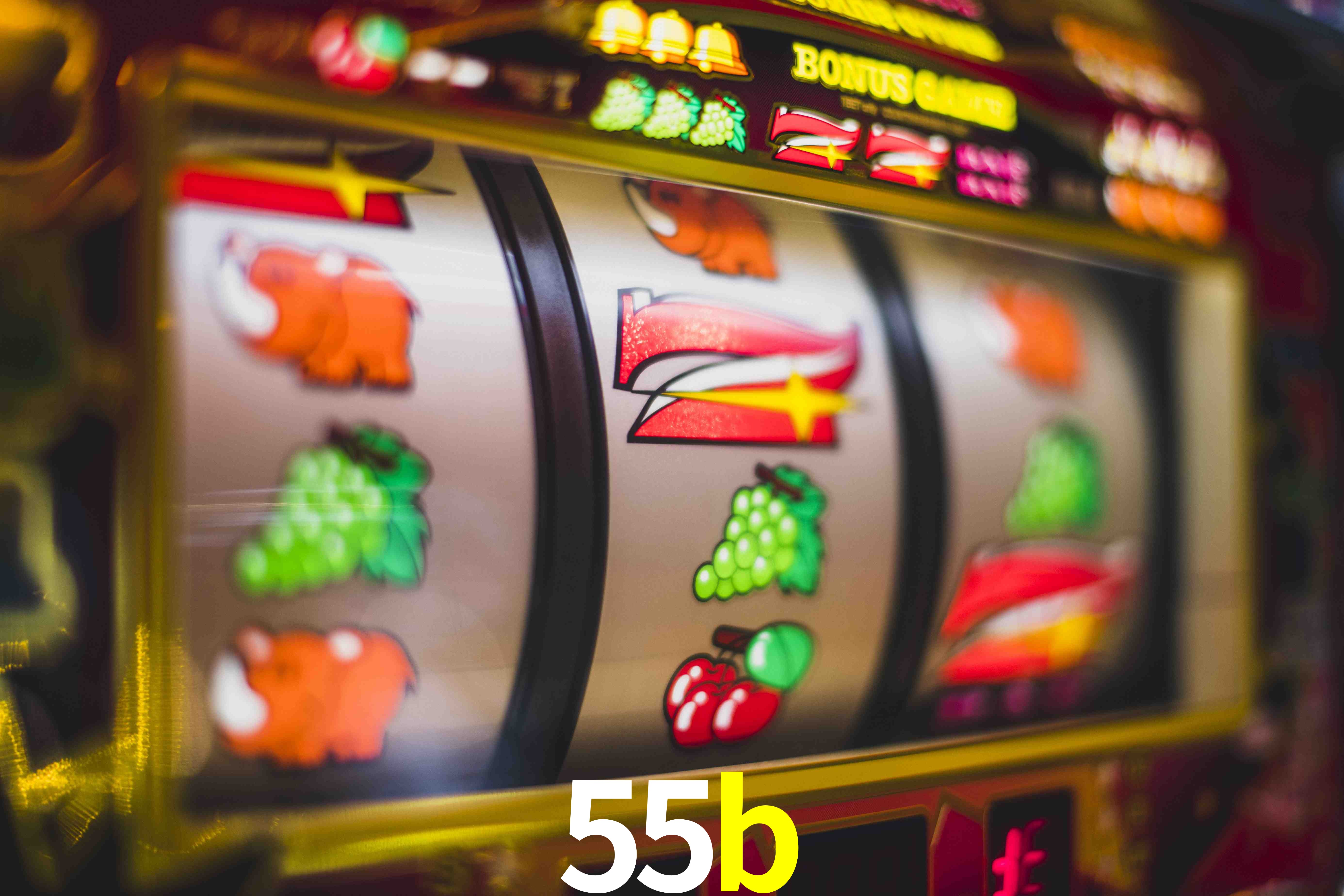 Sports Statistics 55b